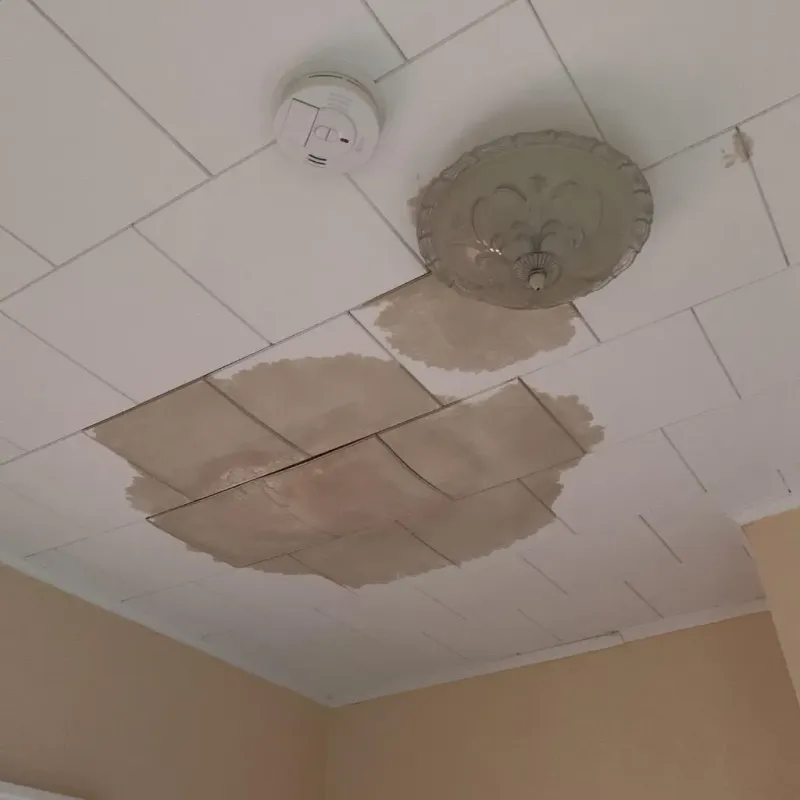 Ceiling Water Damage Repair in Brooke County, WV