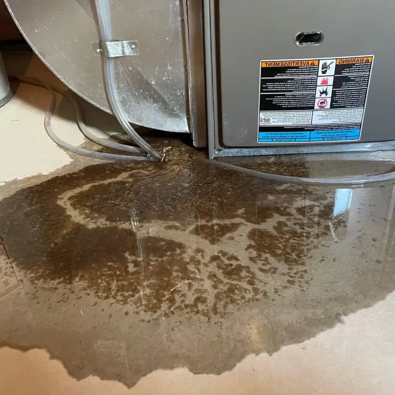 Pipe Burst and Leak Restoration in Brooke County, WV