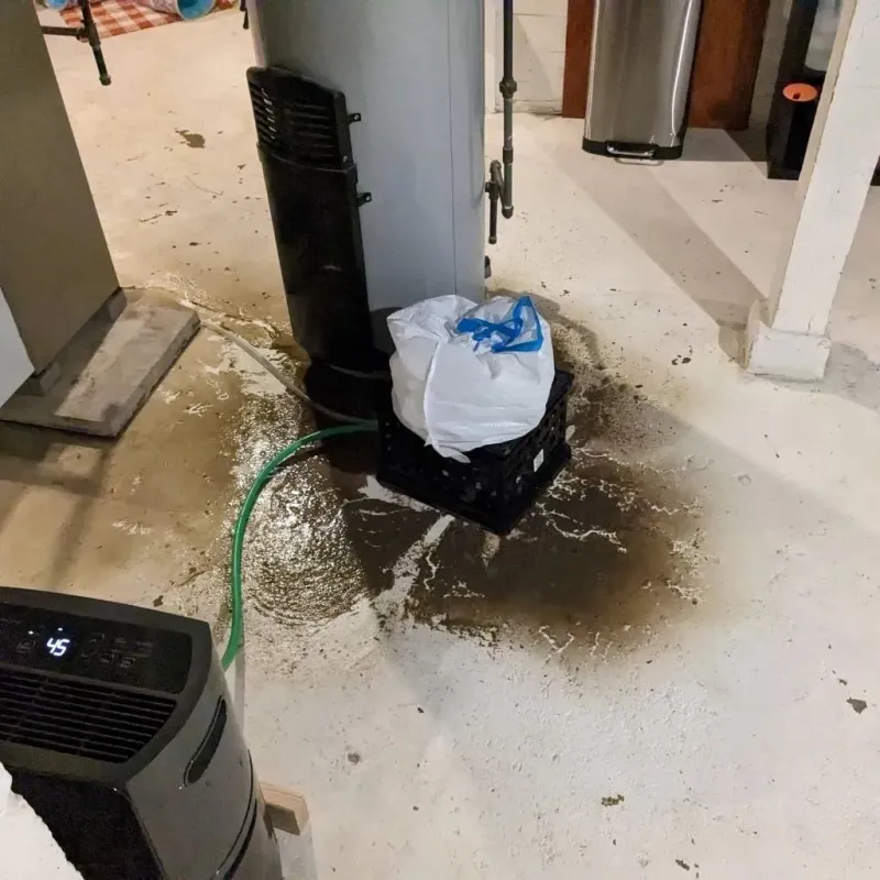Sewage Backup Cleanup Service in Brooke County, WV